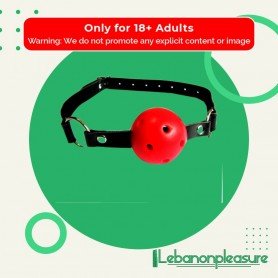 Mouth Ball Gag BDP-007