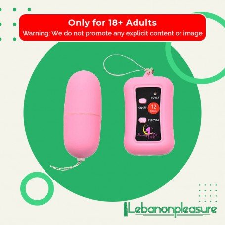 Remote Control Vibrating Egg BV-003