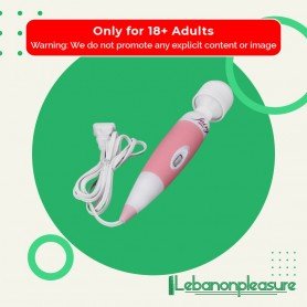 Powerful Multispeed Fairy Female Personal Wand Massager VM-009