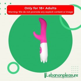 Multi-Speed Dual Vibration Rabbit Vibrator RV-013